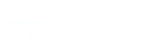 fincon-logo