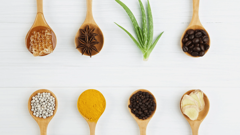 Blissful Living 4 U - Reset Your Life: Ayurvedic Detox for a New You