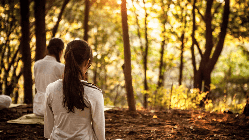 Blissful Living 4 U - Wellness, Wisdom, and Wealth - Learn to Dream Big Blissful Living 4 U - Seasonal Bliss: Your Summer-to-Fall Ayurvedic Wellness Plan